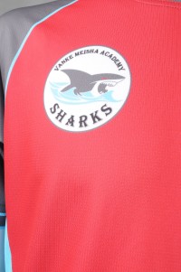 WTV177   Sample customized basketball sports suit online ordering color matching sports suit printing logo red+gray   authentic basketball jerseys   tournament  jersey    youth basketball jerseys detail view-8